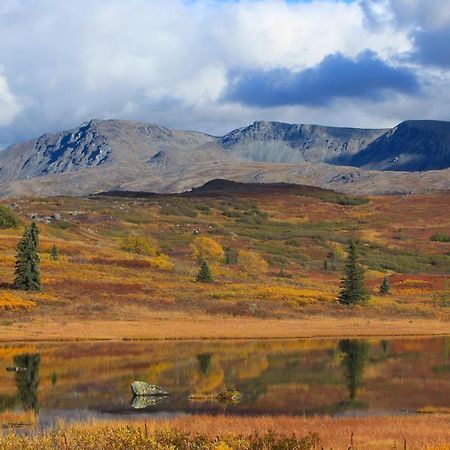 Caribou Lodge Alaska تالكيتنا المظهر الخارجي الصورة