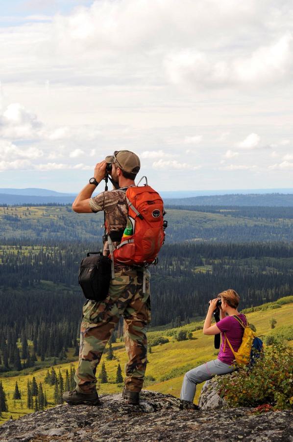 Caribou Lodge Alaska تالكيتنا المظهر الخارجي الصورة