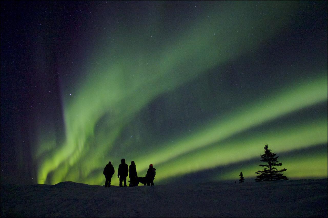 Caribou Lodge Alaska تالكيتنا المظهر الخارجي الصورة