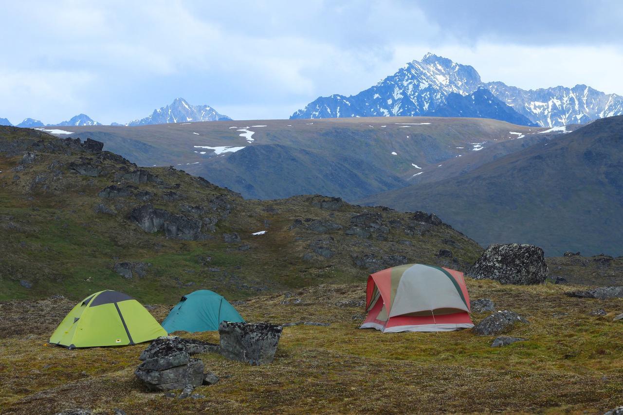 Caribou Lodge Alaska تالكيتنا المظهر الخارجي الصورة