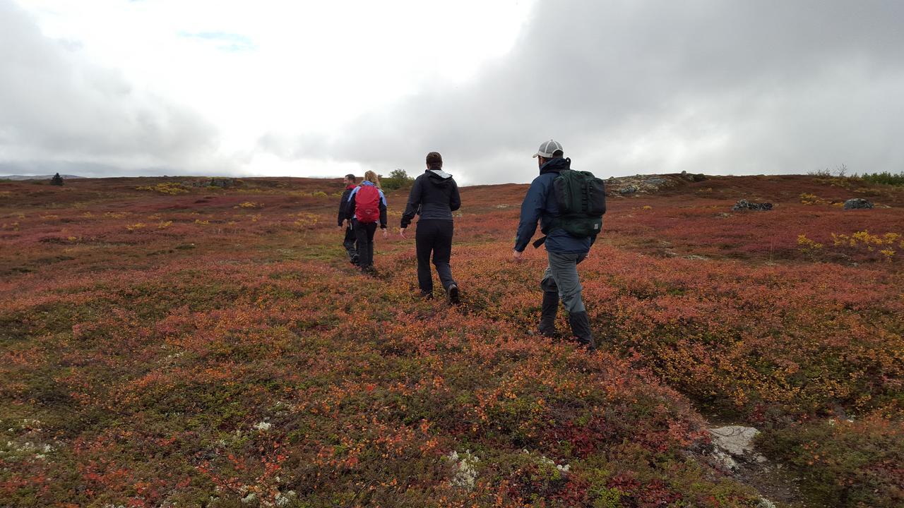 Caribou Lodge Alaska تالكيتنا المظهر الخارجي الصورة