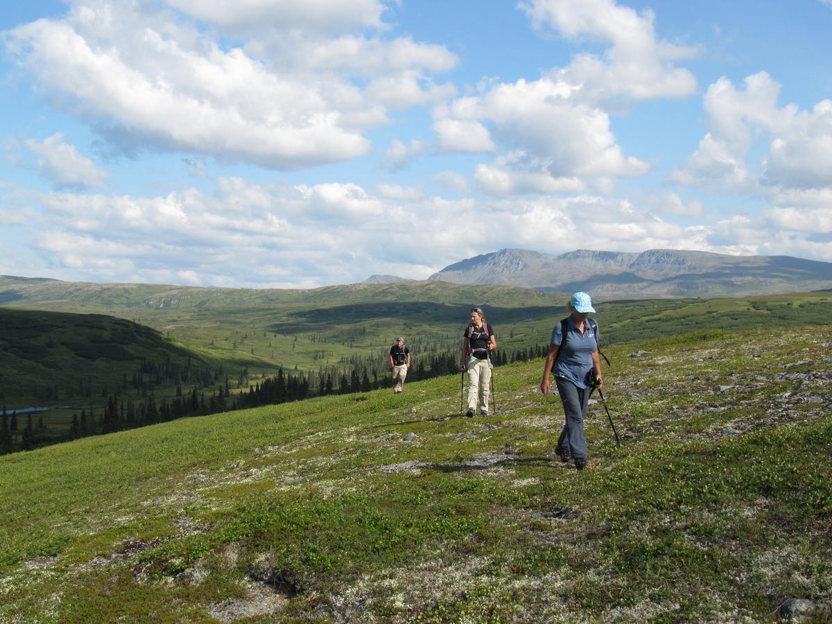 Caribou Lodge Alaska تالكيتنا المظهر الخارجي الصورة