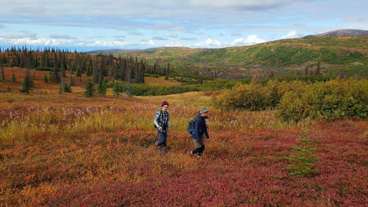 Caribou Lodge Alaska تالكيتنا المظهر الخارجي الصورة