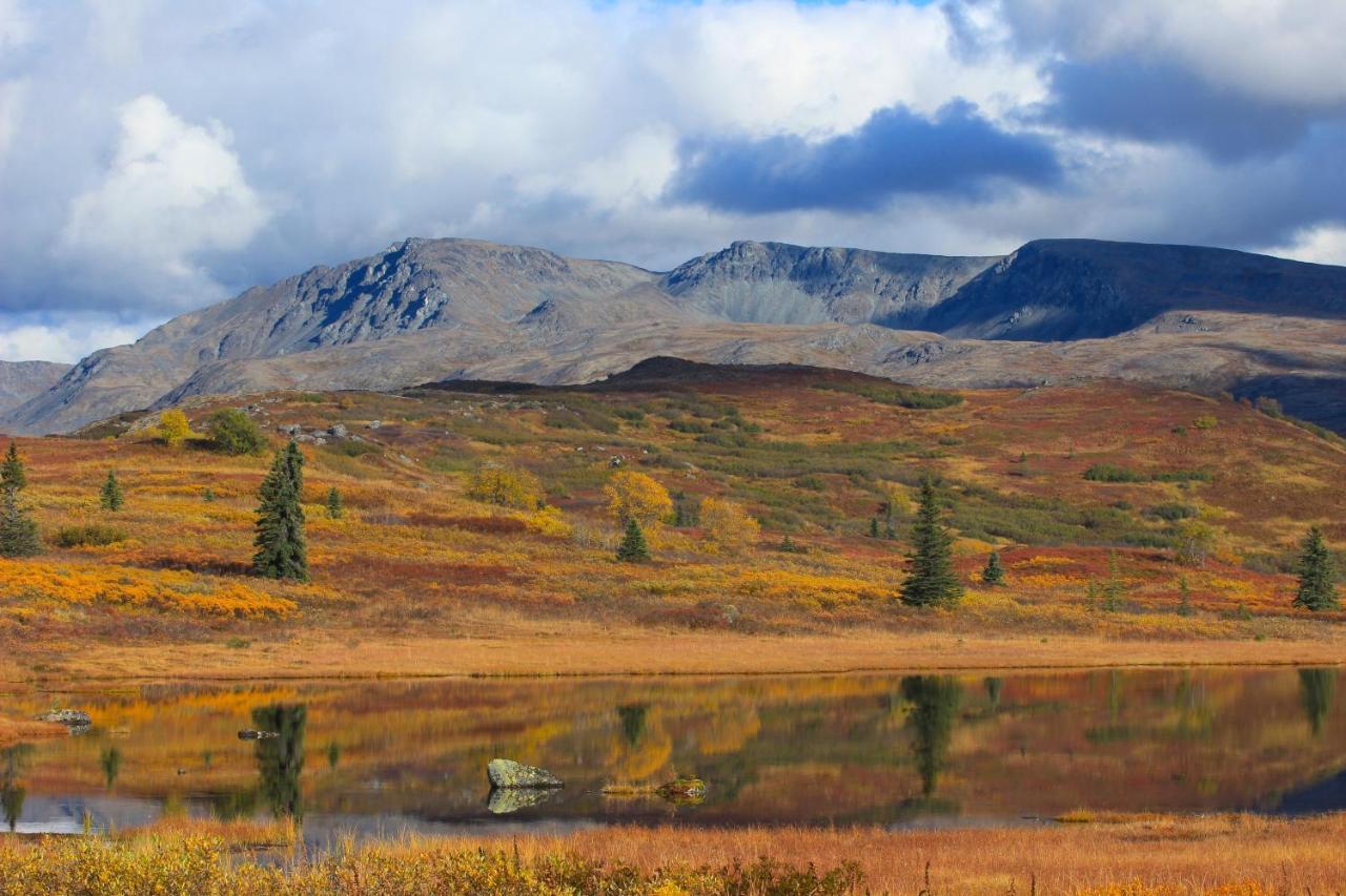 Caribou Lodge Alaska تالكيتنا المظهر الخارجي الصورة