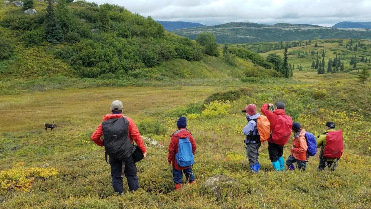 Caribou Lodge Alaska تالكيتنا المظهر الخارجي الصورة