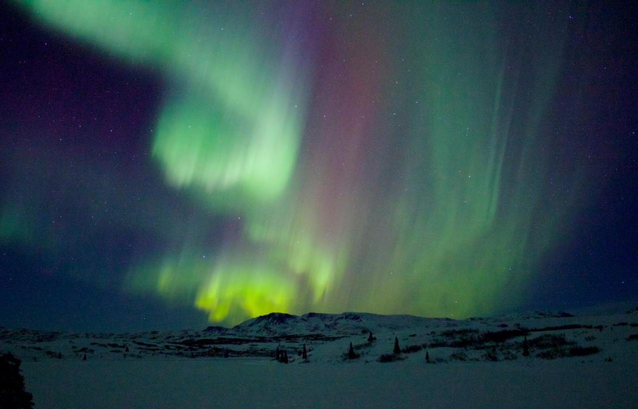 Caribou Lodge Alaska تالكيتنا المظهر الخارجي الصورة
