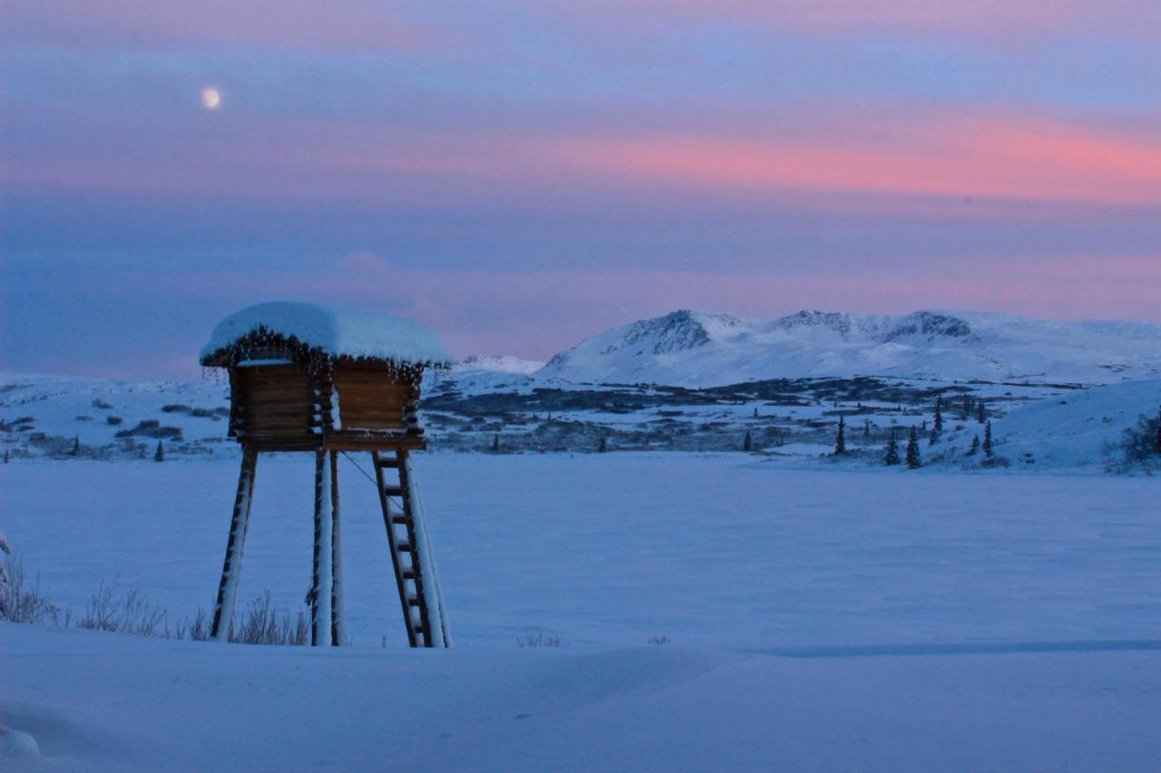 Caribou Lodge Alaska تالكيتنا المظهر الخارجي الصورة
