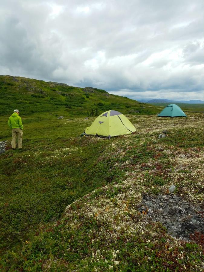 Caribou Lodge Alaska تالكيتنا المظهر الخارجي الصورة