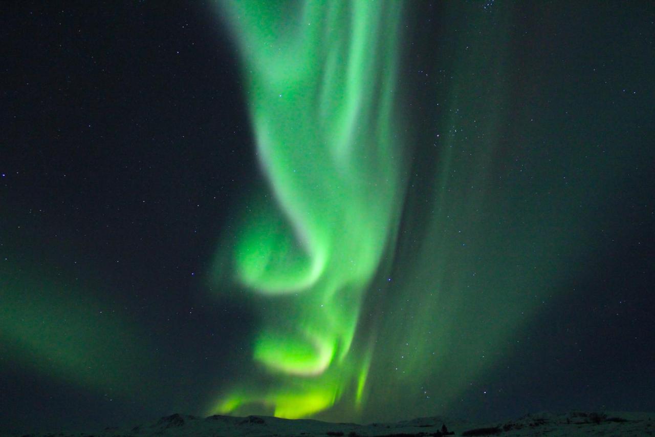 Caribou Lodge Alaska تالكيتنا المظهر الخارجي الصورة