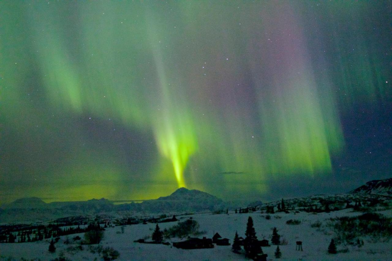 Caribou Lodge Alaska تالكيتنا المظهر الخارجي الصورة
