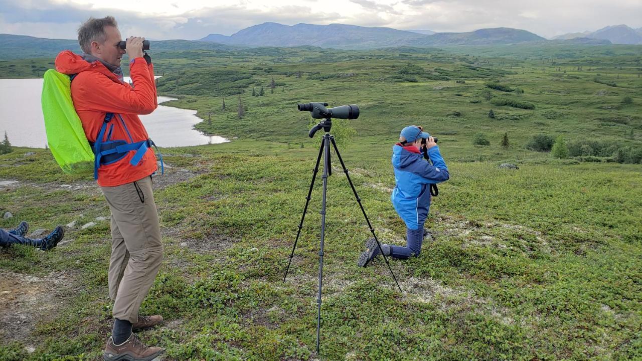Caribou Lodge Alaska تالكيتنا المظهر الخارجي الصورة