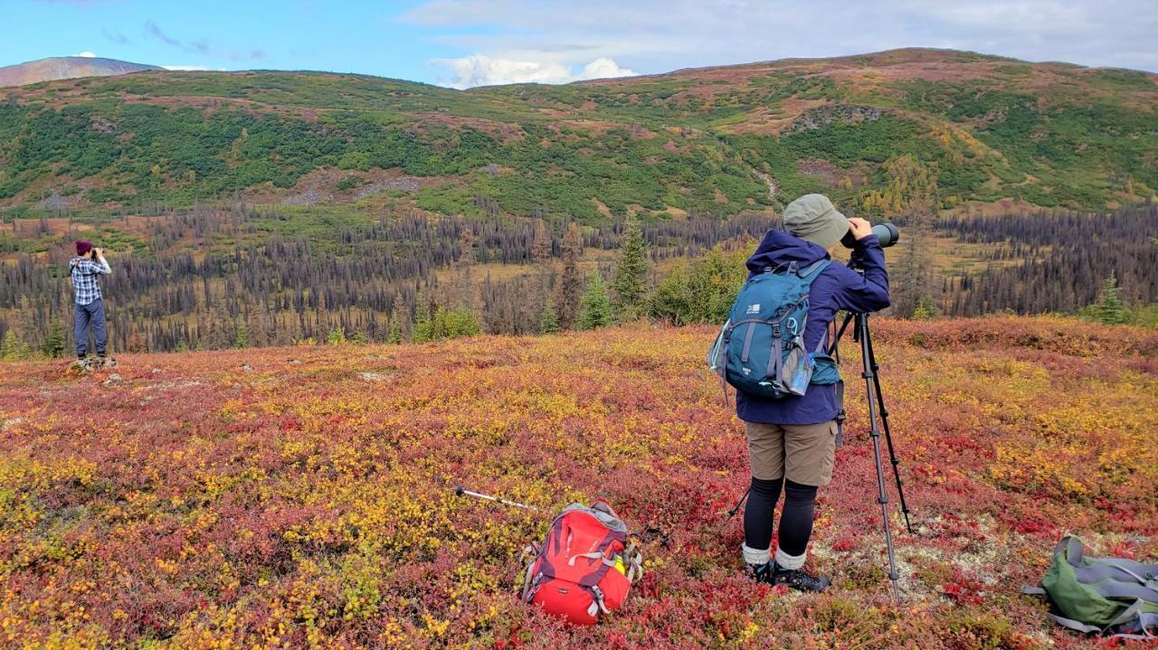 Caribou Lodge Alaska تالكيتنا المظهر الخارجي الصورة