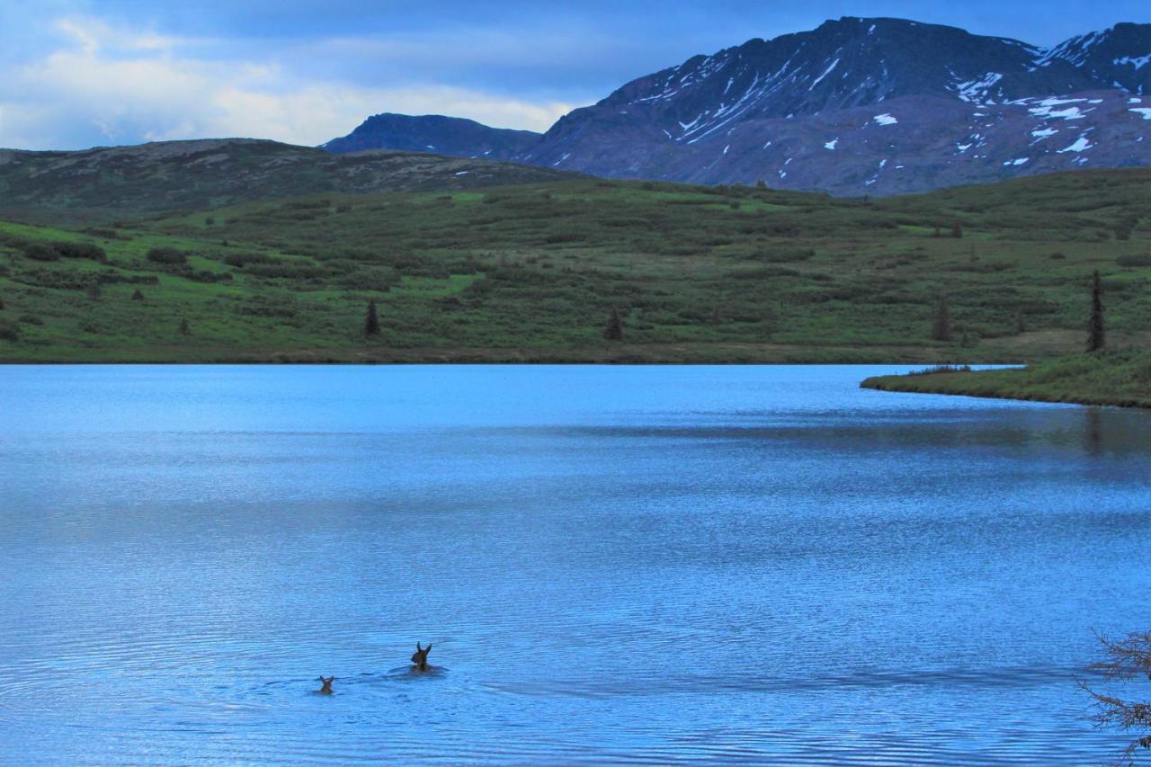 Caribou Lodge Alaska تالكيتنا المظهر الخارجي الصورة