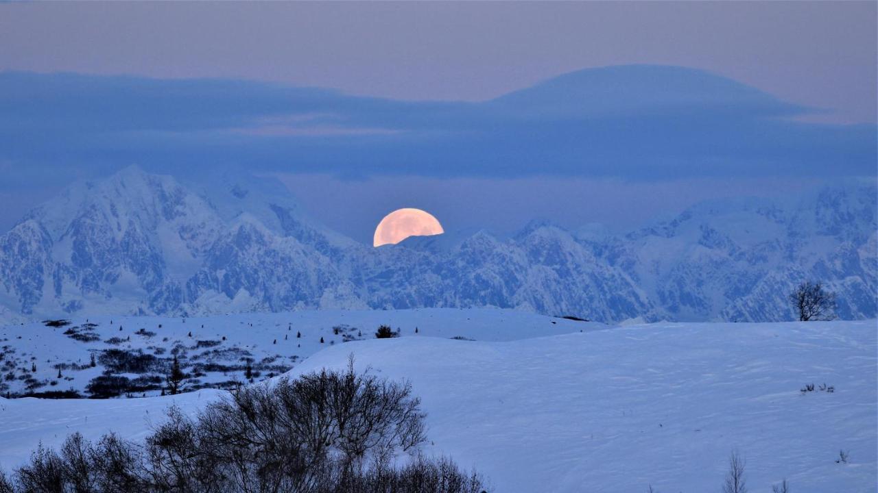 Caribou Lodge Alaska تالكيتنا المظهر الخارجي الصورة