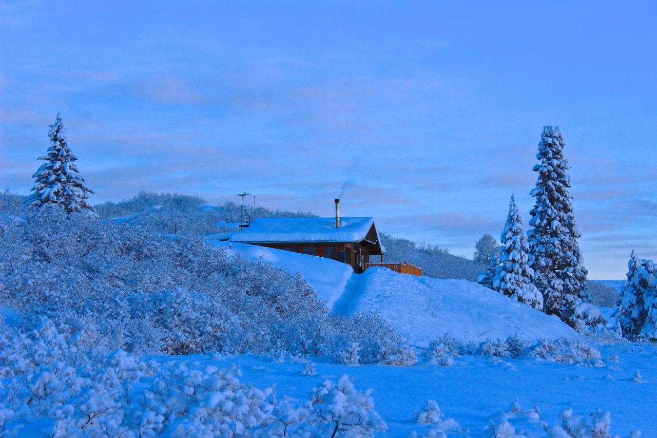 Caribou Lodge Alaska تالكيتنا المظهر الخارجي الصورة